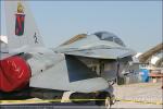 Grumman F-14A Tomcat - NAF El Centro Airshow 2005