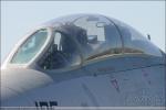 Grumman F-14A Tomcat - NAF El Centro Airshow 2005