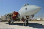 Grumman F-14A Tomcat - NAF El Centro Airshow 2005