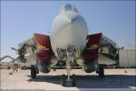 Grumman F-14A Tomcat - NAF El Centro Airshow 2005