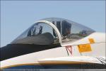 NASA Armstrong F/A-18A Hornet - NAF El Centro Airshow 2005