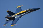 United States Navy Blue Angels - NAF El Centro Airshow 2005