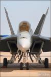 Boeing F/A-18F Super  Hornet - NAF El Centro Airshow 2008