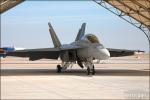 Boeing F/A-18F Super  Hornet - NAF El Centro Airshow 2008