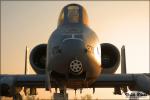 Republic A-10A Thunderbolt  II - Planes of Fame Airshow 2009: Day 2 [ DAY 2 ]