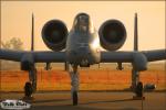Republic A-10A Thunderbolt  II - Planes of Fame Airshow 2009: Day 2 [ DAY 2 ]