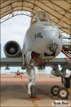 Republic A-10A Thunderbolt  II - NAF El Centro Airshow 2010