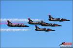 Aero L-39C Albatros Patriots Jet  Team - Fleet Week 2012 - San Francisco Bay 2012