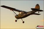 Cessna L-19 Bird  Dog - Cable Air Faire 2013 [ DAY 1 ]