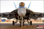 Boeing F/A-18E Super  Hornet - NAF El Centro Airshow 2013