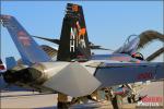 Boeing F/A-18E Super  Hornet - NAF El Centro Airshow 2013