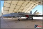 Boeing F/A-18F Super  Hornet - NAF El Centro Practice Show 2014