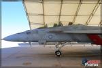 Boeing F/A-18F Super  Hornet - NAF El Centro Practice Show 2014