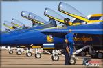 United States Navy Blue Angels - NAF El Centro Practice Show 2014