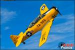 North American T-6G Texan - Air to Air Photo Shoot - February 22, 2016
