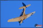 Douglas SBD-5 Dauntless - Planes of Fame Air Museum: Air Battle over Rabaul - February 1, 2014