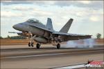 Boeing F/A-18D Hornet   